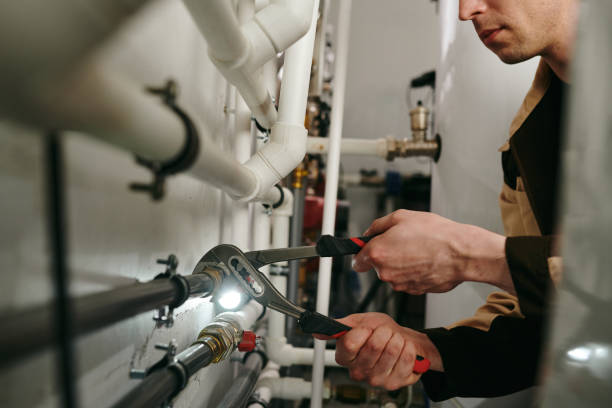 Best Drain Cleaning Services  in West Dundee, IL