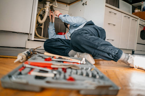 Best Emergency Plumber  in West Dundee, IL