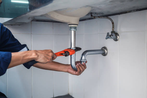 Best Residential Plumbing Services  in West Dundee, IL