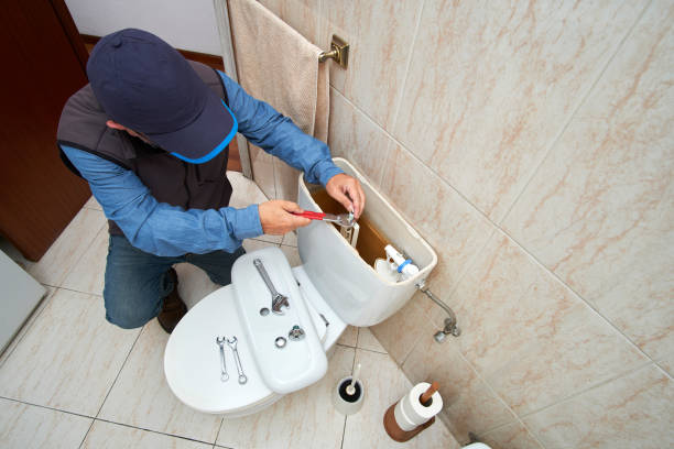 Best Clogged Drain Plumber  in West Dundee, IL