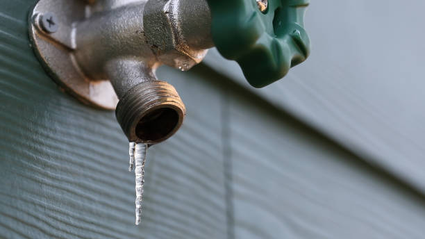 Best Best Plumbers Near Me  in West Dundee, IL