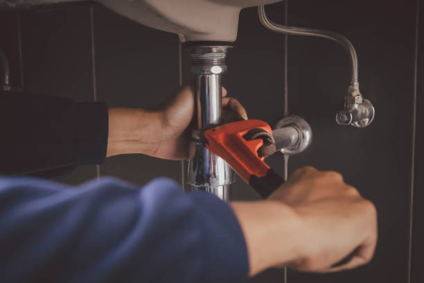 Best Local Plumber Services  in West Dundee, IL
