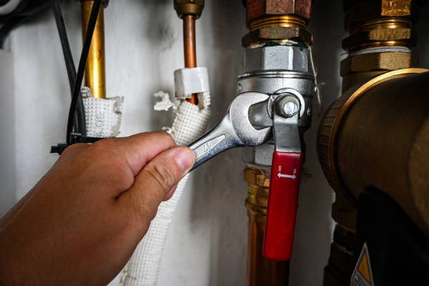 Best Commercial Plumbing Services  in West Dundee, IL